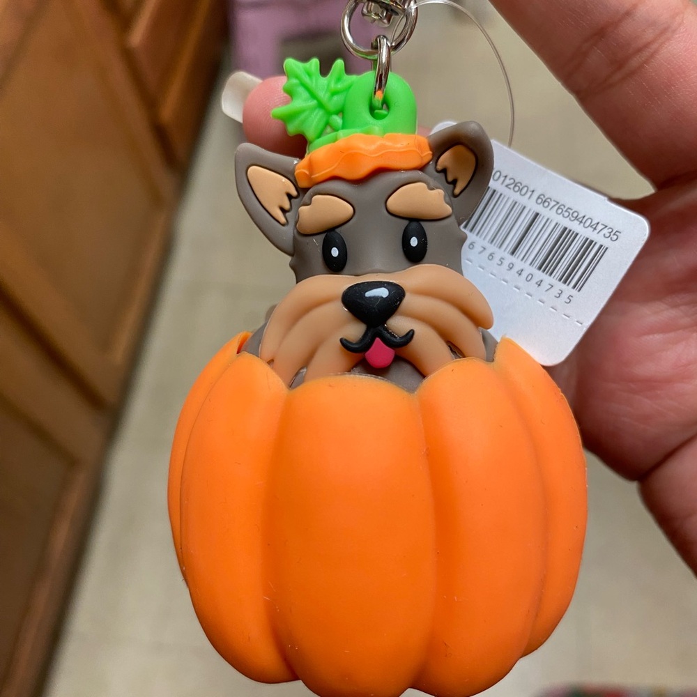 Cute Dog in Pumpkin pocketbac holder